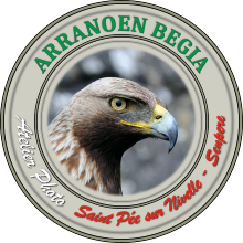Arranoen Begia